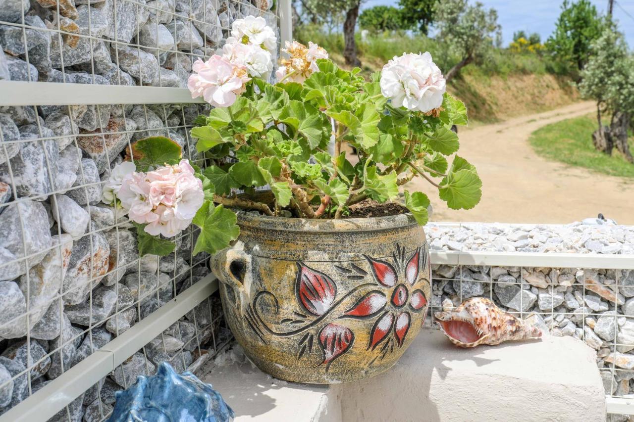 Casa Rozana - Skiathos Ngoại thất bức ảnh